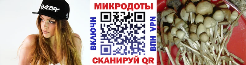 Купить где  Нелидово  Псилоцибиновые грибы GOLDEN TEACHER 