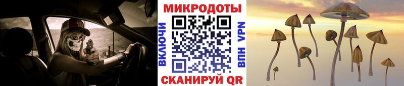Галлюциногенные грибы Magic Shrooms Нелидово